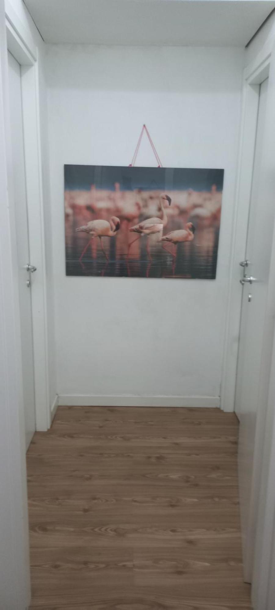 B&B Leo Cagliari Exterior photo